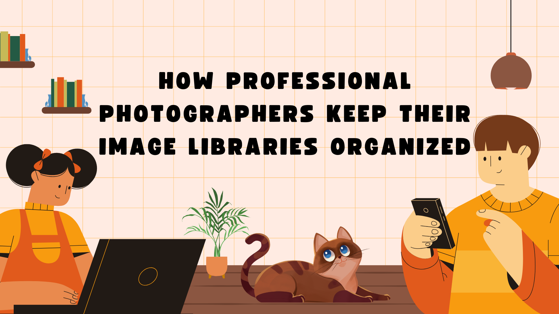Professional Photographer Organization: How Experts Manage Thousands of Images