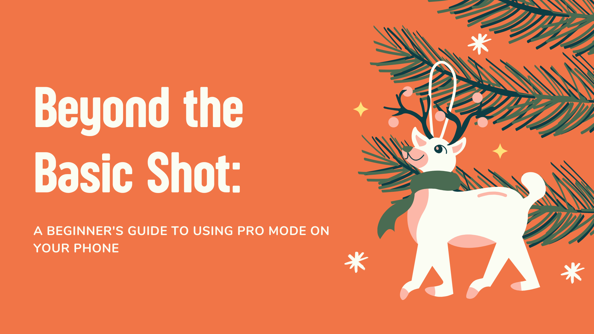 Beyond the Basic Shot: A Beginner's Guide to Using Pro Mode on Your Phone